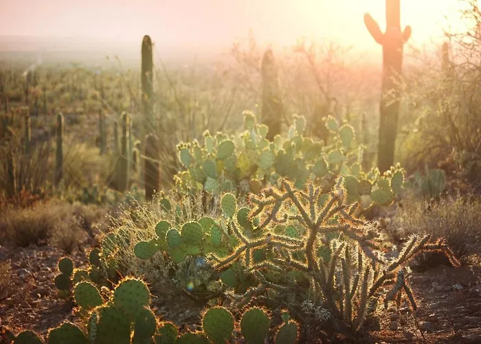 Morada Serena - Private And Casita Near Downtown * Tucson